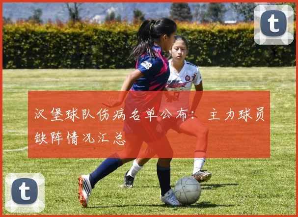 汉堡球队伤病名单公布:主力球员缺阵情况汇总