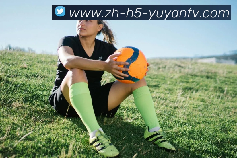 雨燕直播APP 封面图